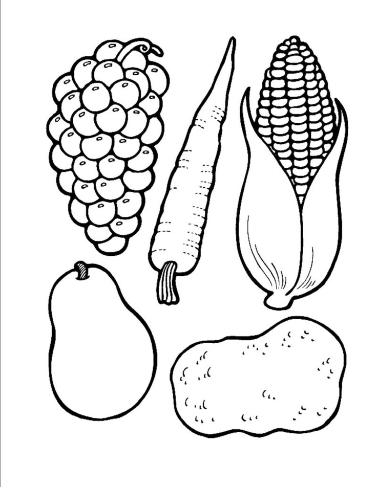 Cornucopia food outlines and cornucopia template links httpwwwfreekidscraftscoâ fruit coloring pages cornucopia craft preschool vegetable coloring pages