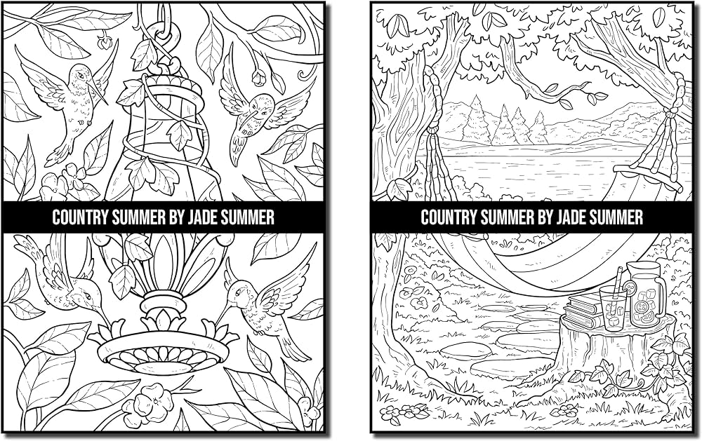 Country summer an adult colorg book with detailed images of charmg country scenes beautiful rustic landscapes and lovable farm animals country seasons dunbar joshua summer jade books