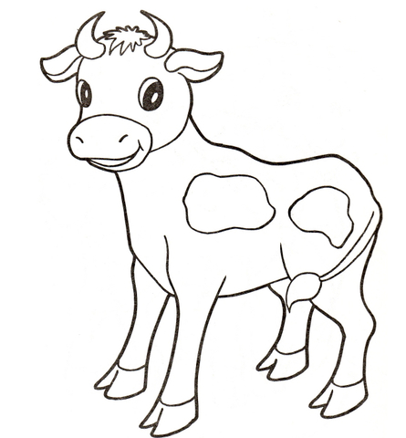 Baby cow coloring page free printable coloring pages