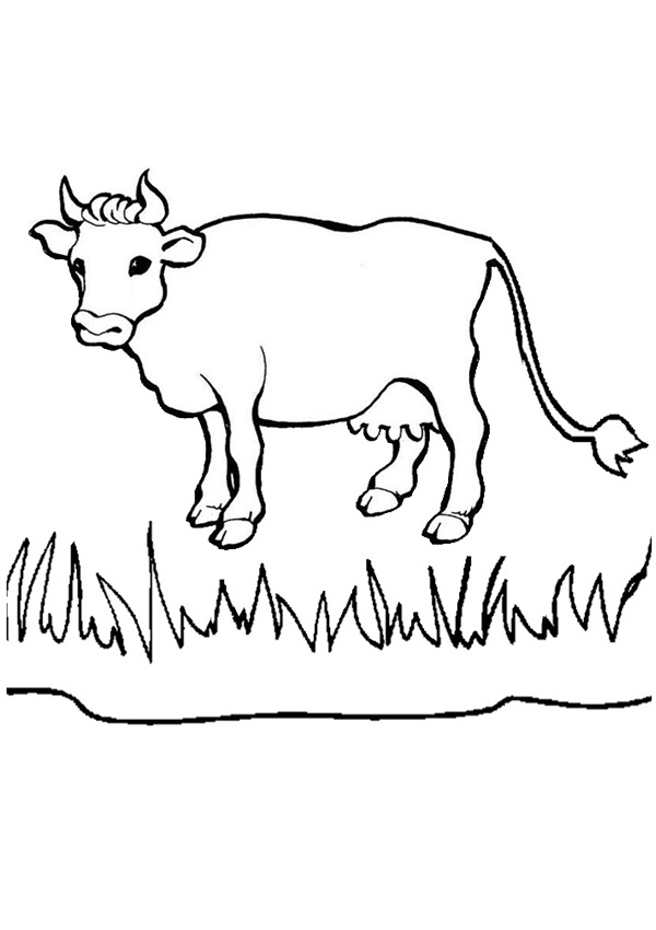 Free printable cow coloring pages for kids