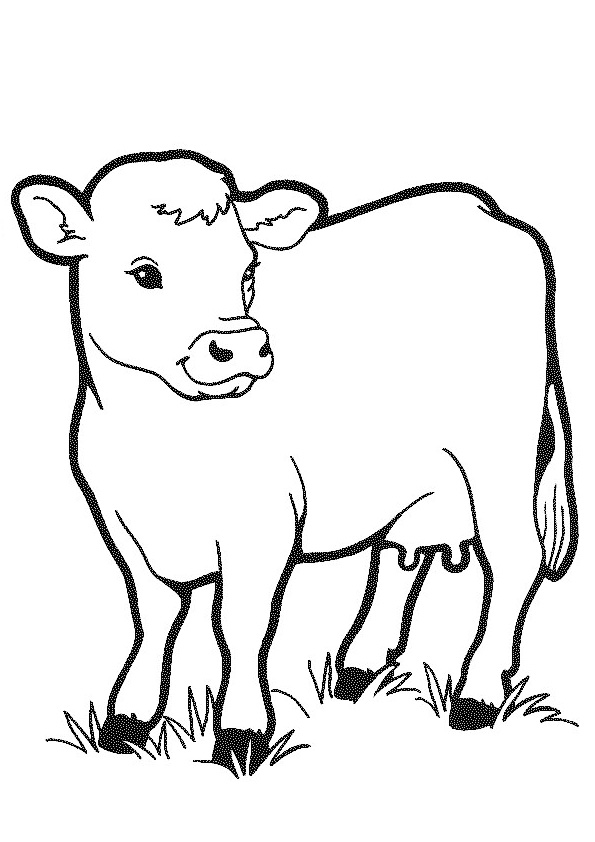 Coloring pages free printable cow coloring pages for kids