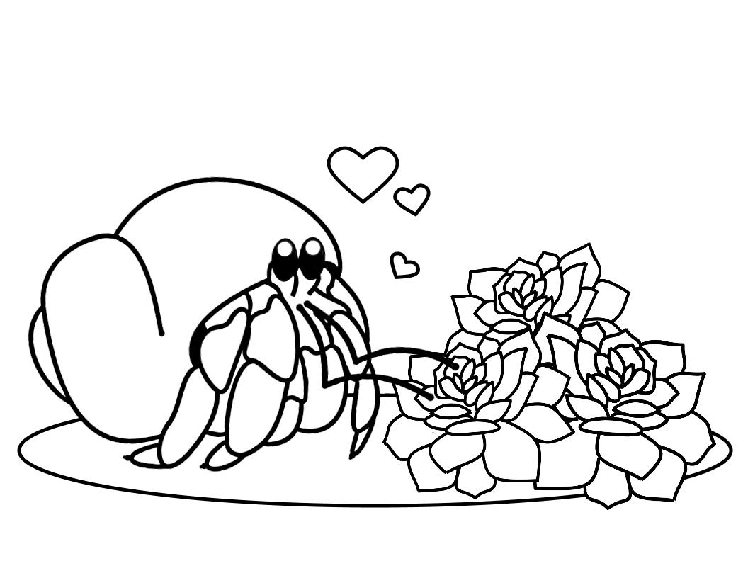 Free hermit crab coloring page arthropod gardens