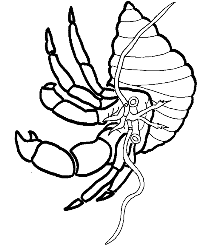 Printable crab coloring