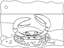 Crabs coloring pages and printable activities