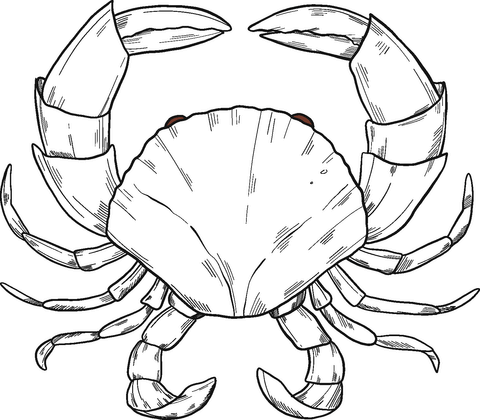 Crab coloring page free printable coloring pages