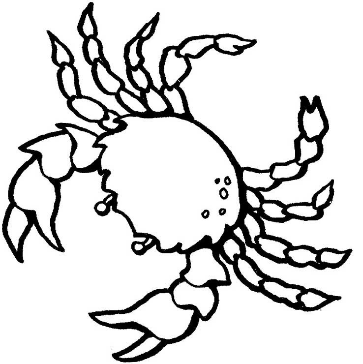 Free printable crab coloring pages for kids