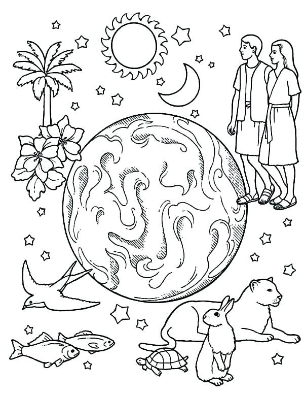 Creation coloring pages