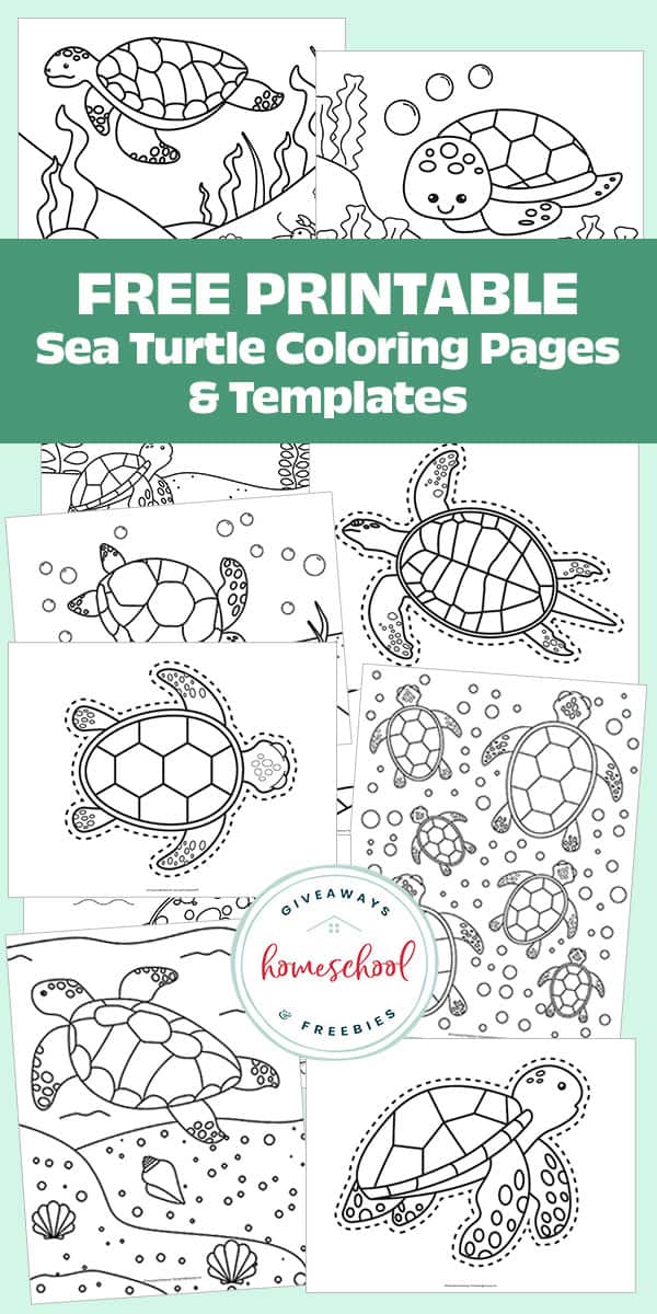Free printable sea turtle coloring pages templates