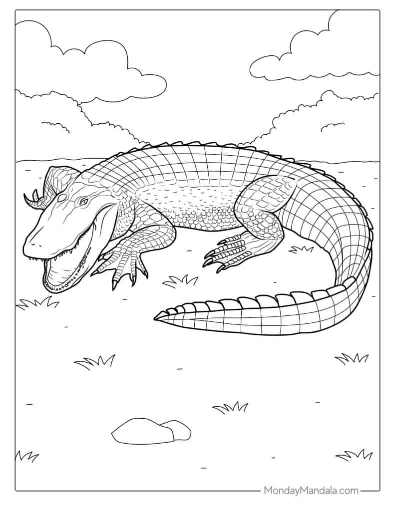 Crocodile coloring pages free pdf printables