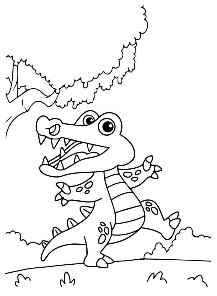 Crocodile coloring pages