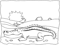 Alligators and crocodiles coloring pages