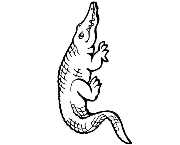 Alligator s crafts colouring pages