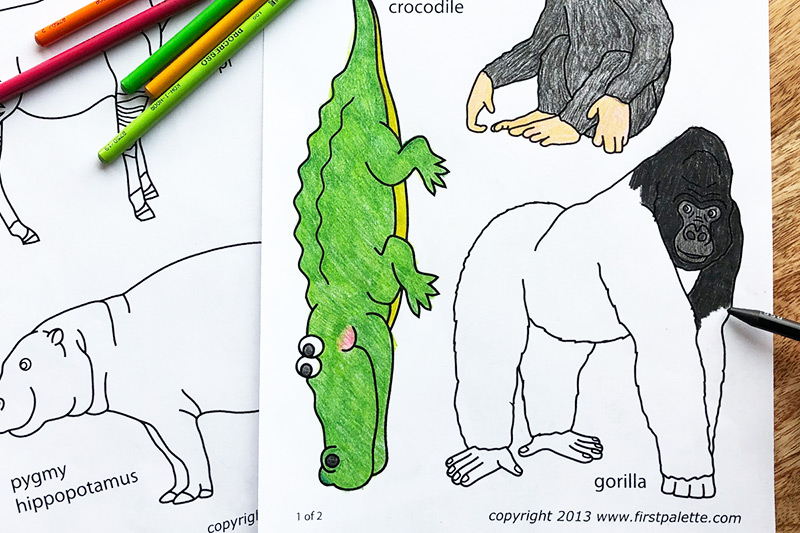 African jungle or rainforest animals free printable templates coloring pages