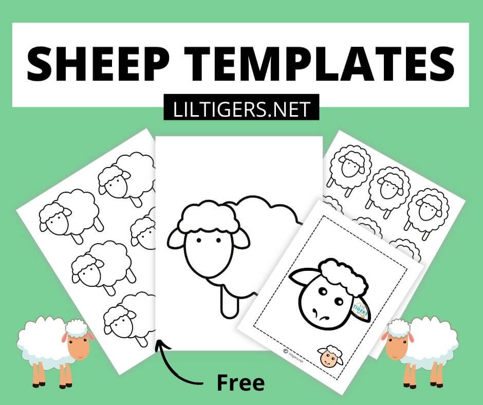 Free printable sheep templates and coloring sheets