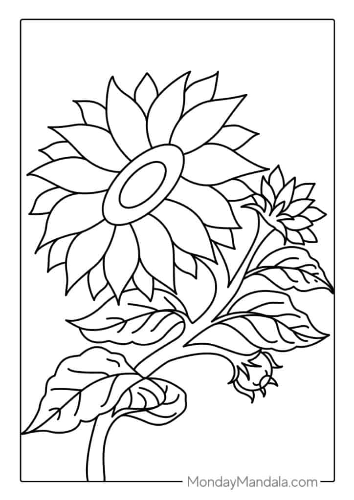 Sunflower coloring pages free pdf printables
