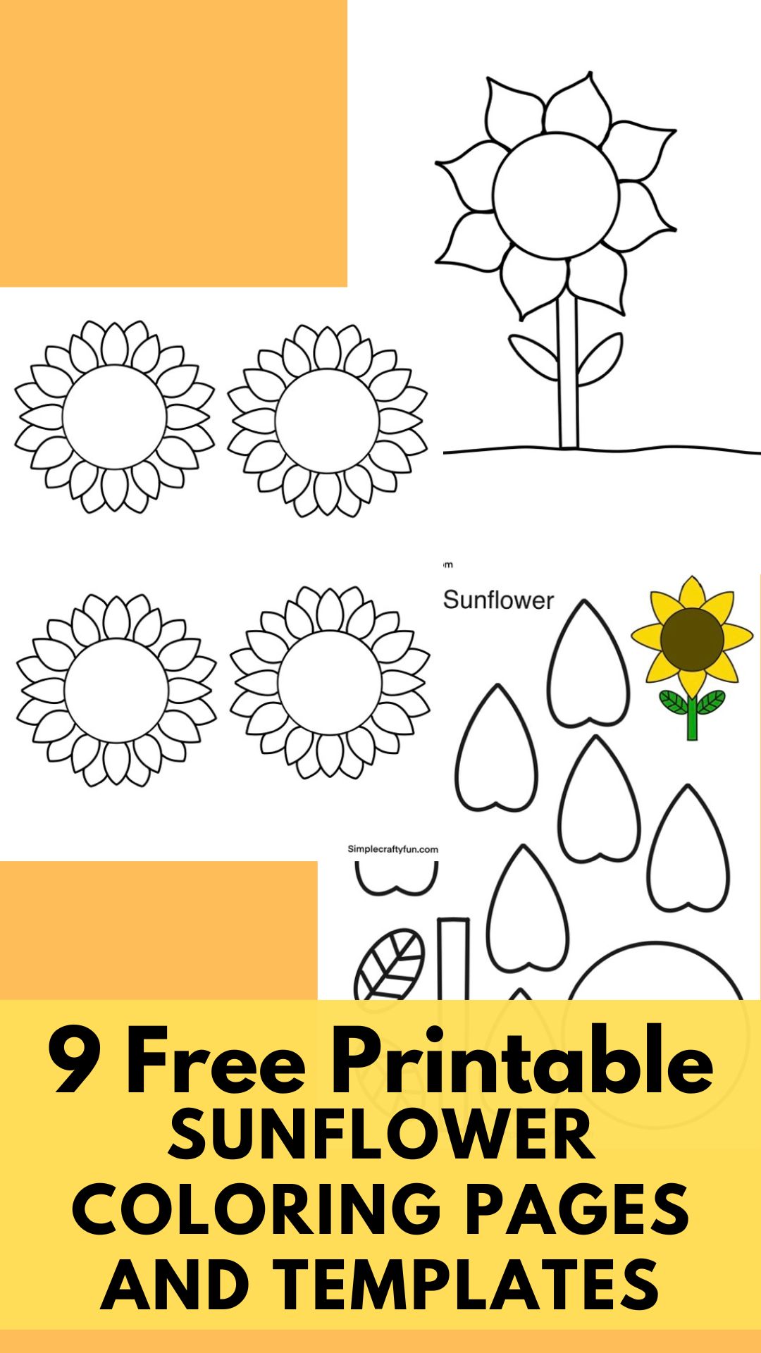 Free printable sunflower pdf template