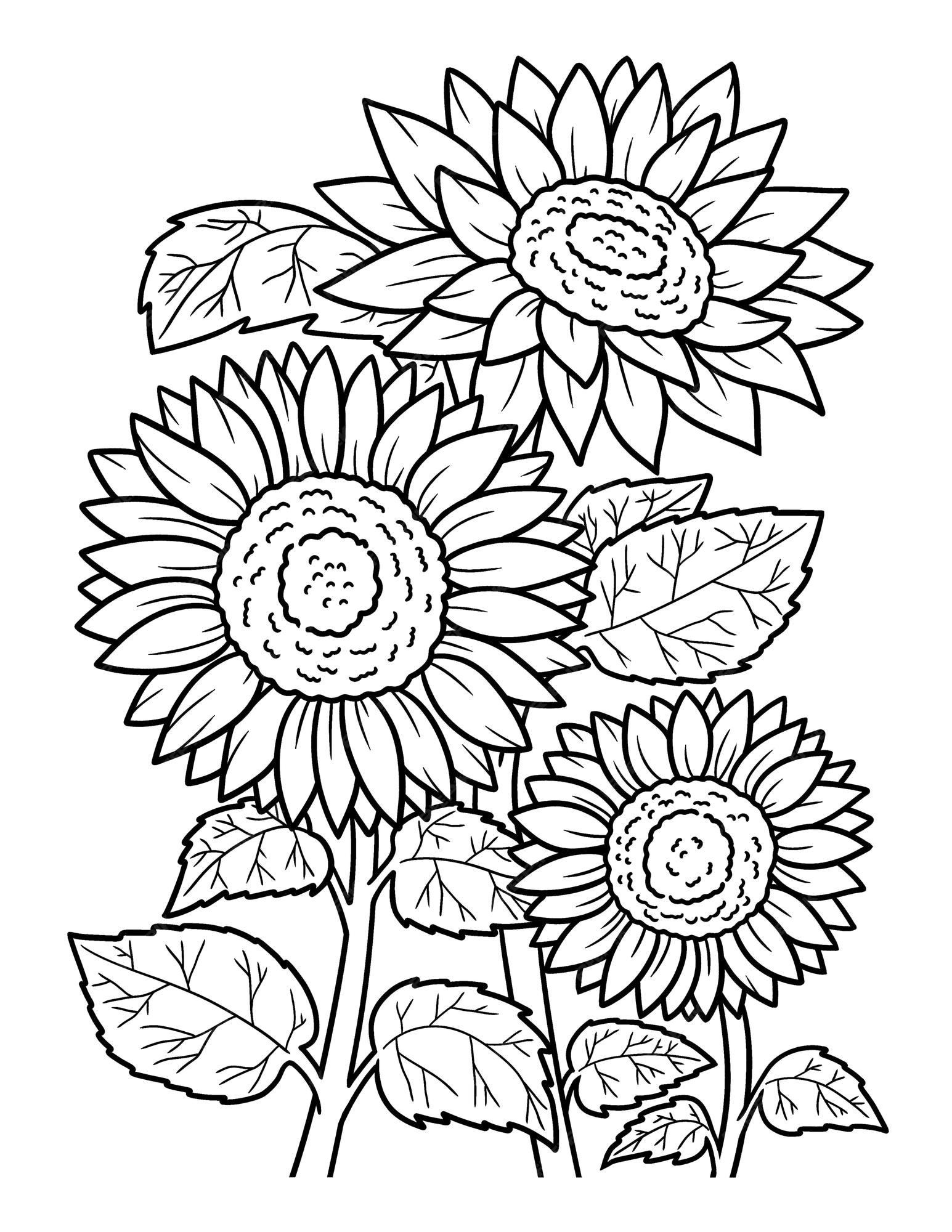 Premium vector sunflower coloring page for adults