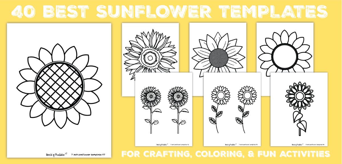 Best sunflower templates