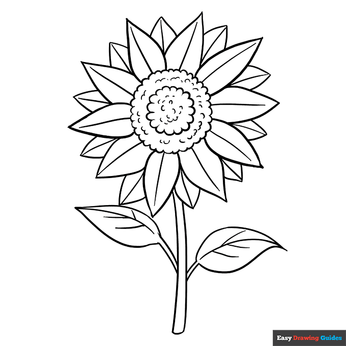 Free printable flower coloring pages for kids