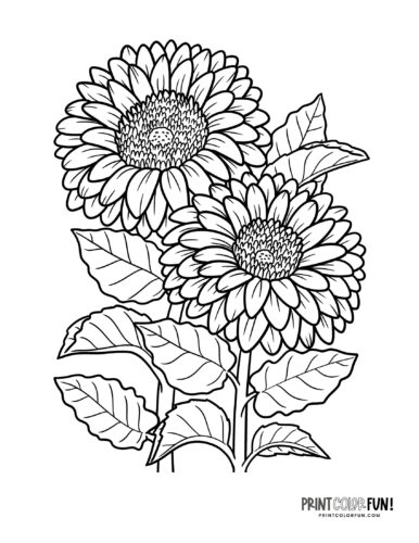 Flower coloring pages clipart to color a whole garden at