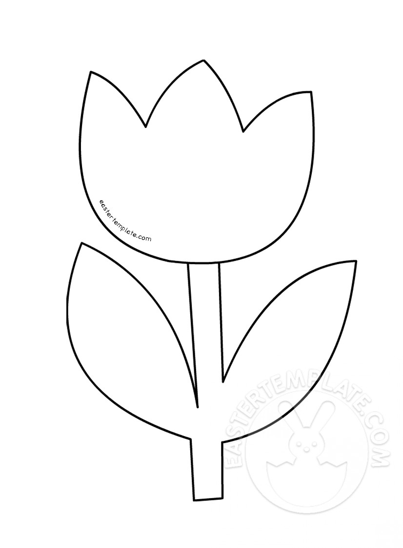 Tulip template spring flowers