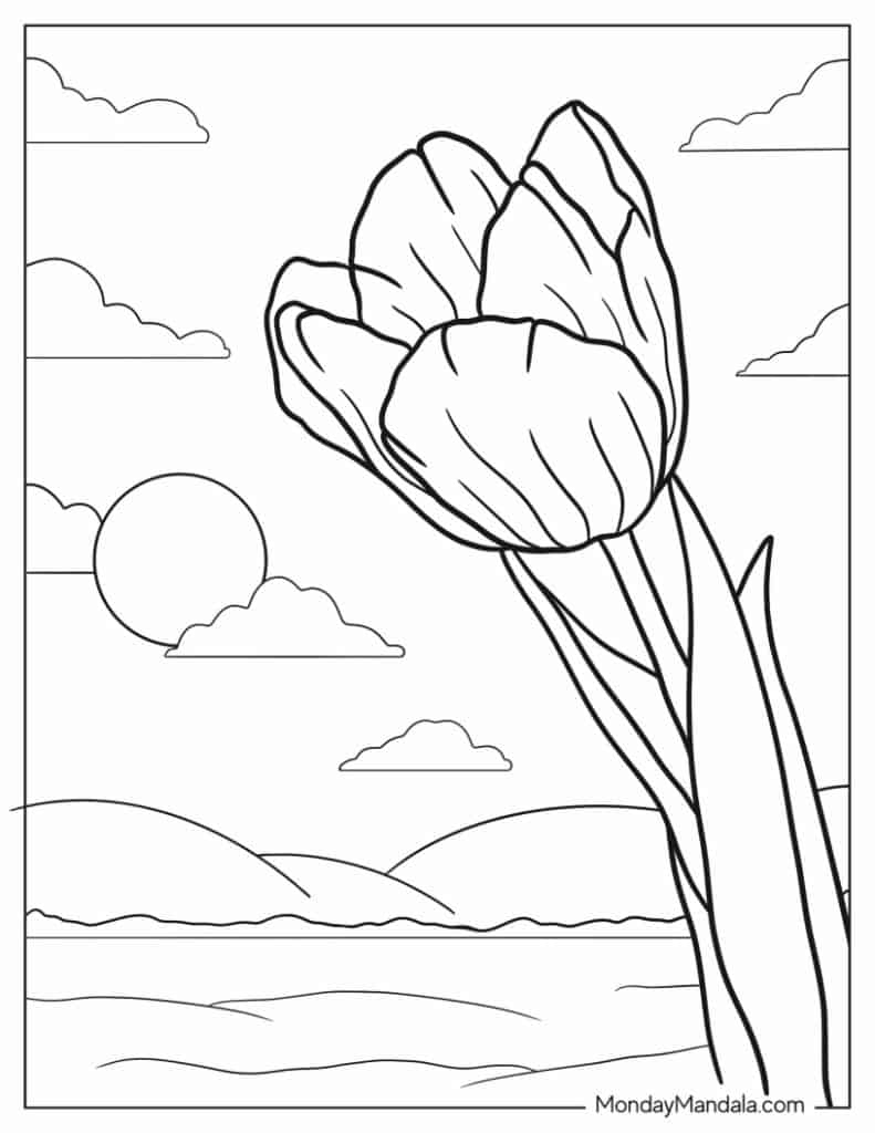 Tulip coloring pages free pdf printables