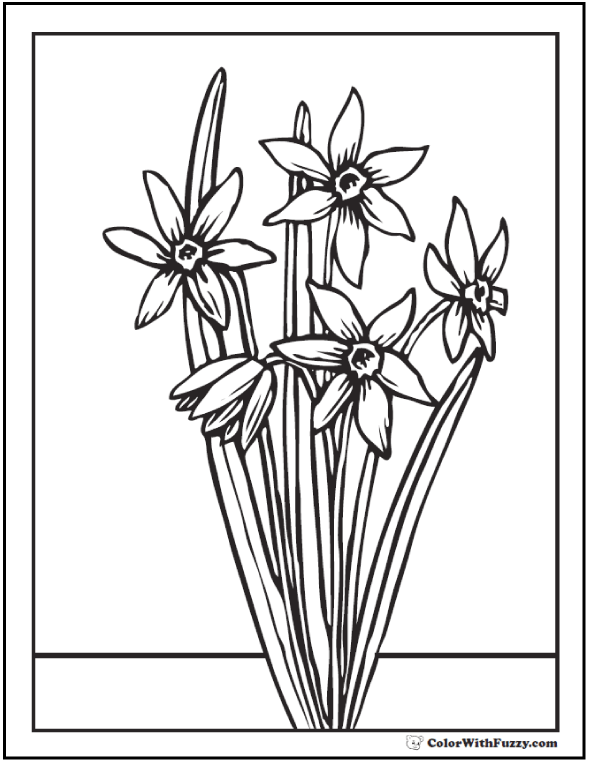 Tulip flower coloring pages pdf printables