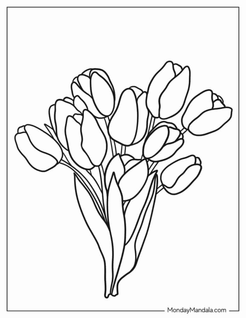 Tulip coloring pages free pdf printables