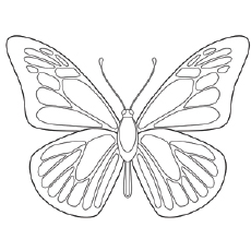 Top free printable butterfly coloring pages online