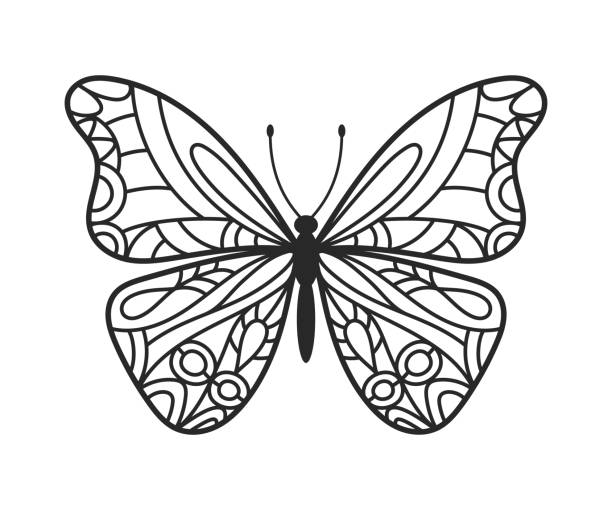 Butterfly coloring stock photos pictures royalty