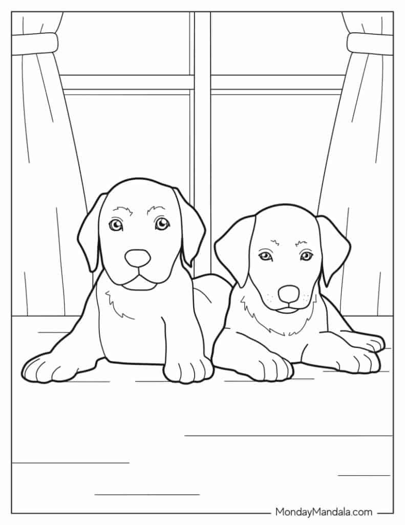 Dog coloring pages free pdf printables