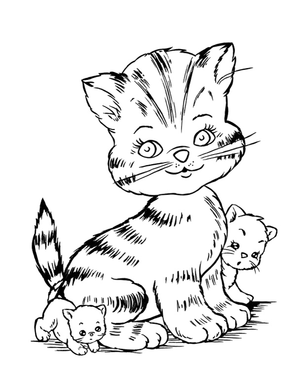 Cat coloring pages