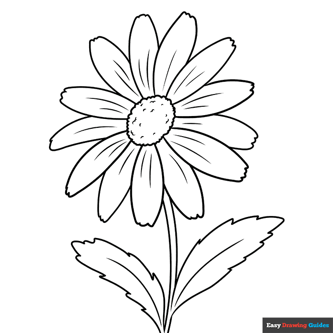 Daisy flower coloring page easy drawing guides