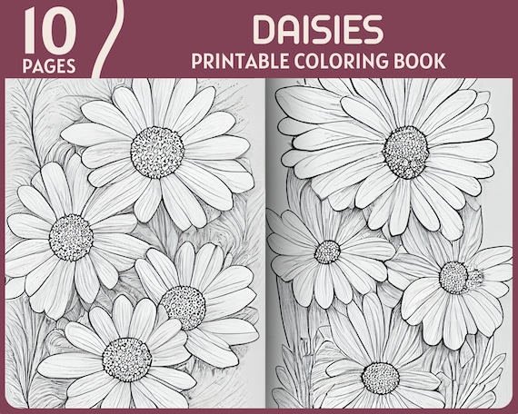 Daisies coloring pages beatiful daisy flowers theme printable coloring book flower coloring page