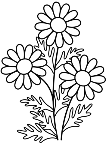 Daisy coloring page free printable coloring pages