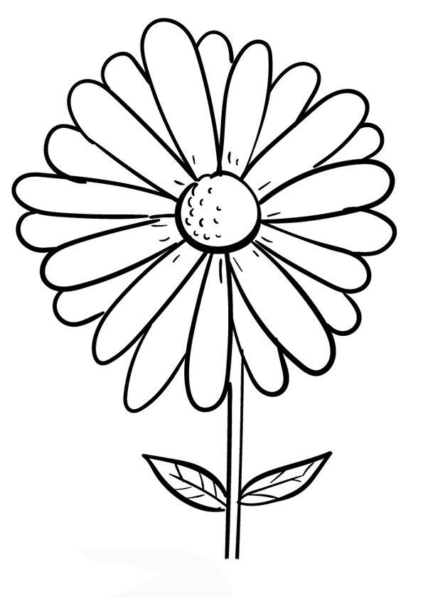 Coloring pages printable daisy coloring pages to print