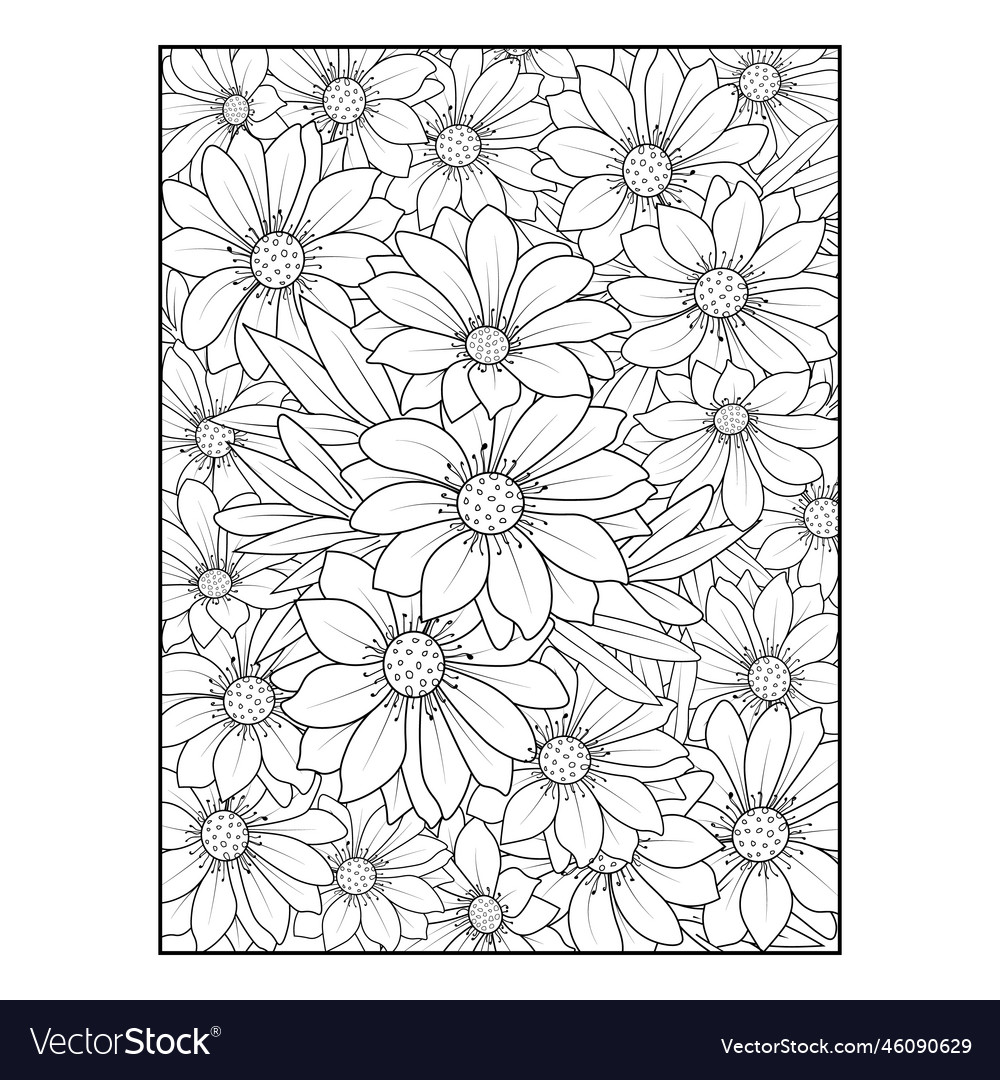 Daisy flower coloring pages pattern royalty free vector