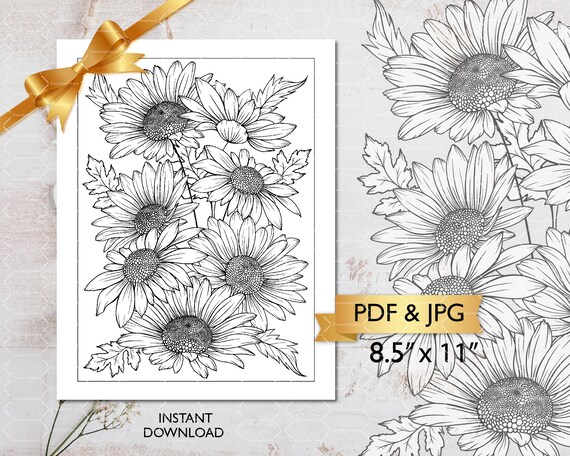 Buy printable adult coloring page flower coloring page for adults daisy coloring page pdf coloring at home meditative coloring digital pdf online in india