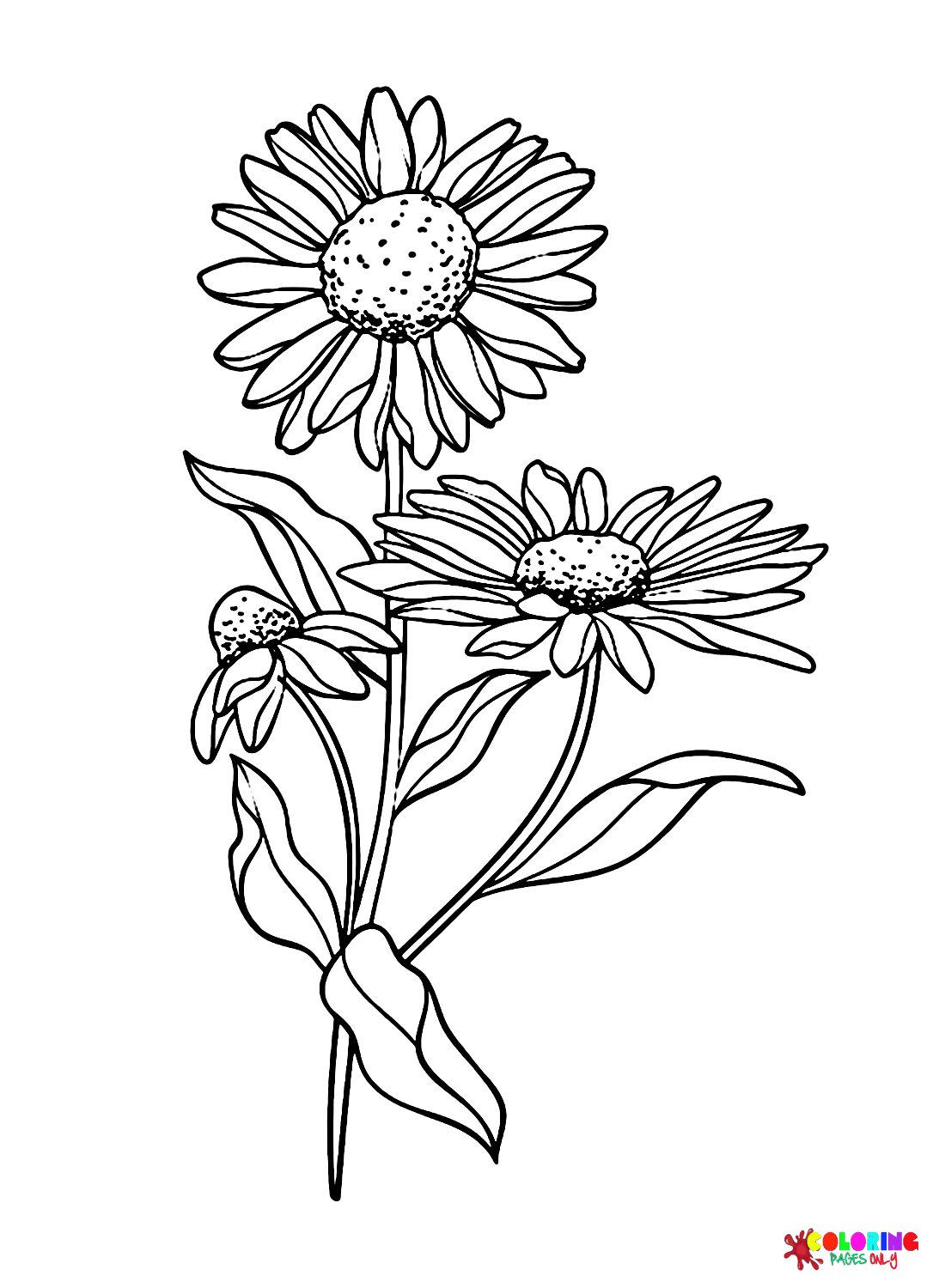 Daisy coloring pages printable for free download