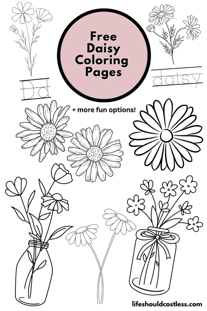 Daisy coloring pages free printable pdf templates