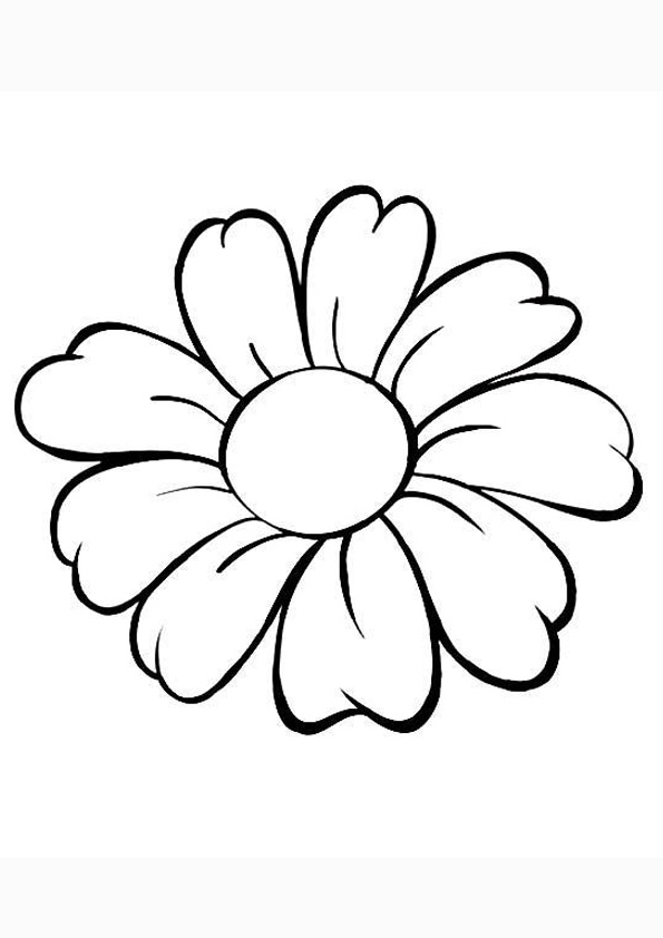 Coloring pages printable daisy flower printable coloring pages