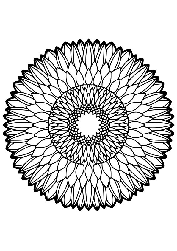 African daisy drawing for coloring page free printable nurieworld