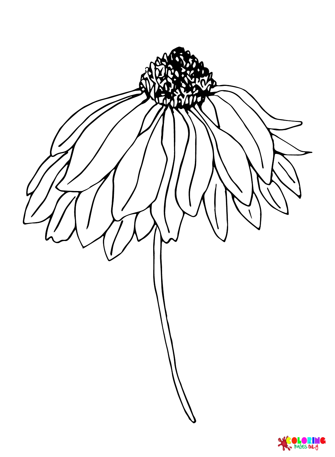 Daisy coloring pages printable for free download