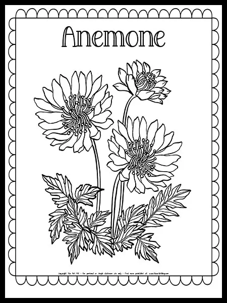 Daisy flower coloring page free printable â the art kit