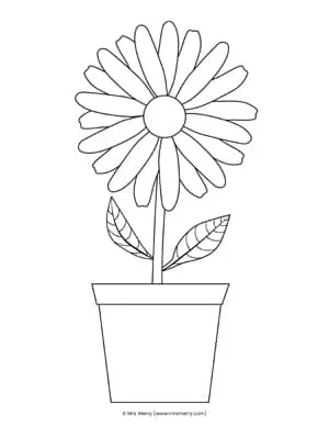 Free daisy flower printable template mrs merry