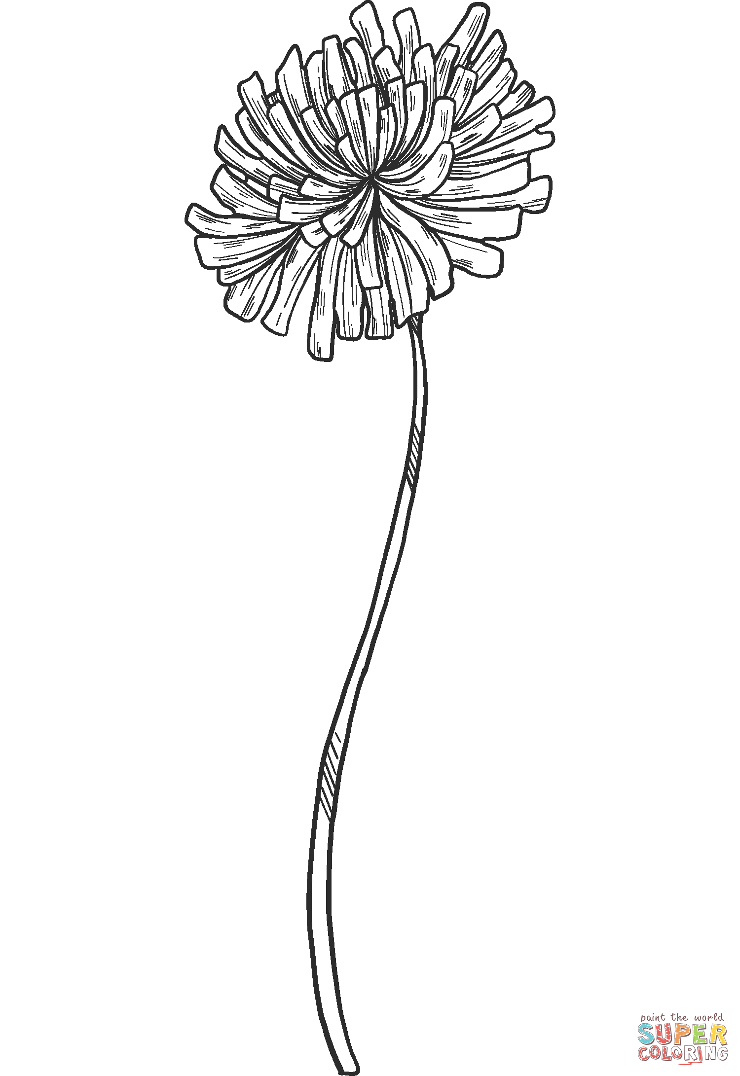 Dandelion coloring page free printable coloring pages