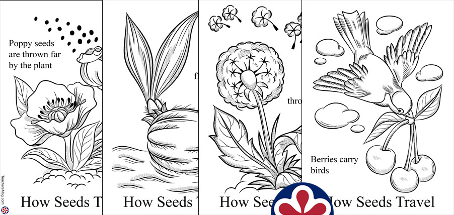 How plants travel coloring page for preschoolers