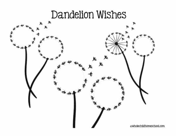 Dandelions unit study for family