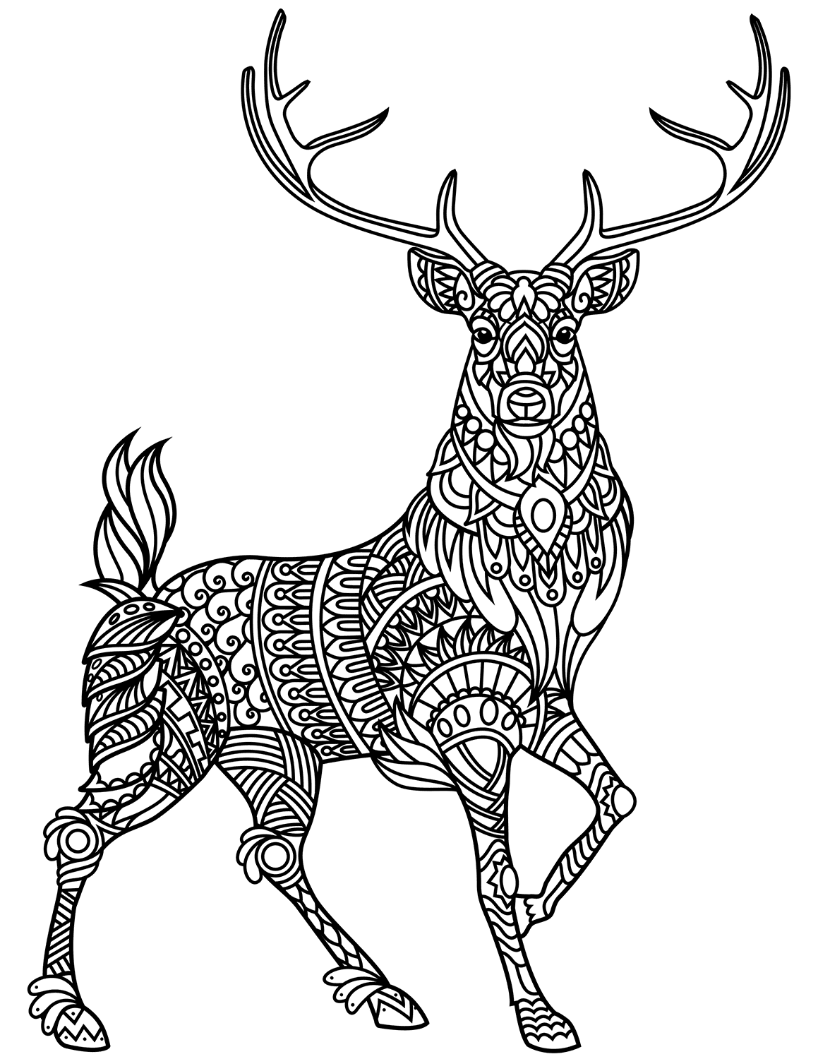 Deer coloring pages printable for free download