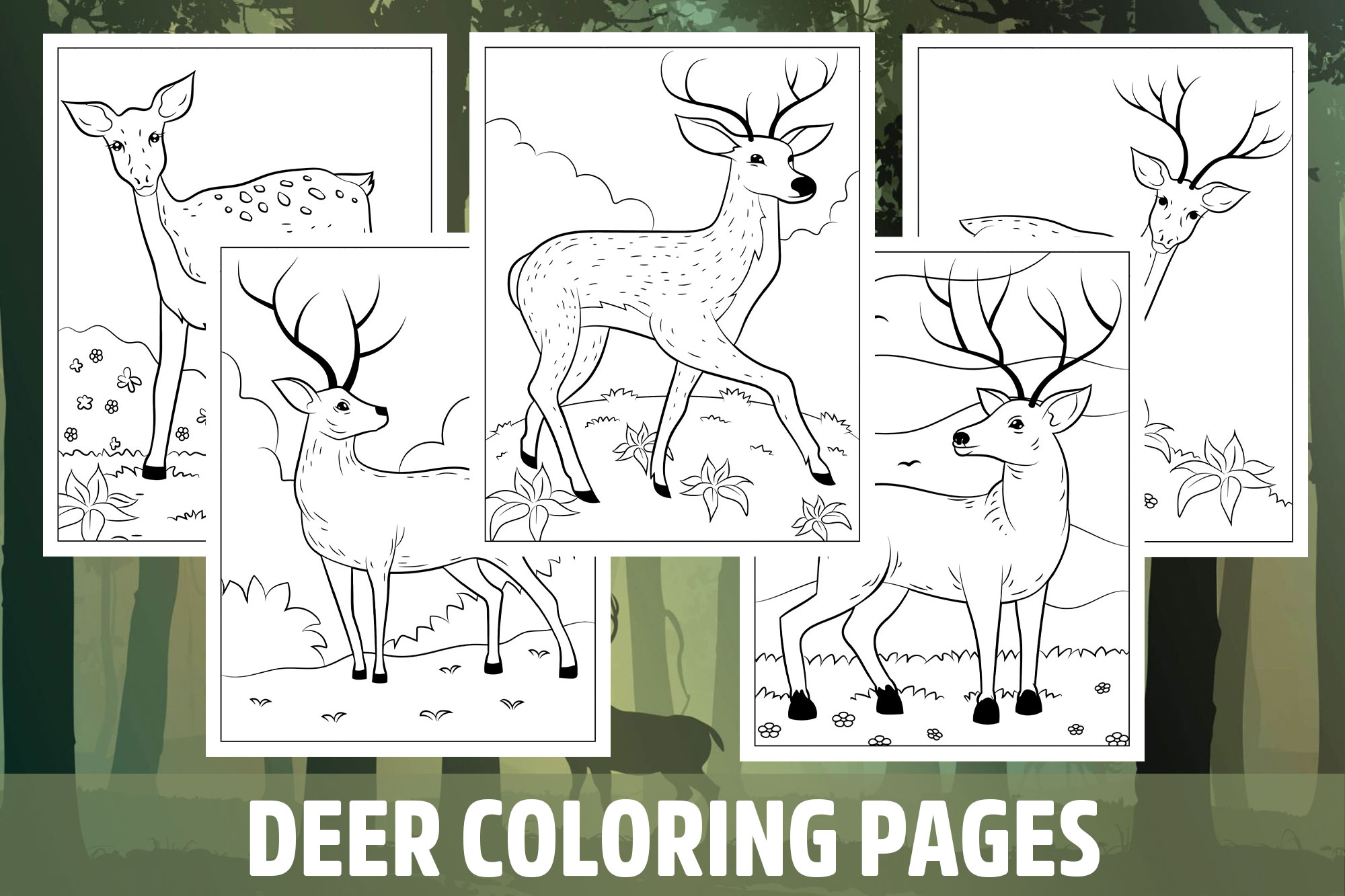 Deer coloring pages for kids girls boys teens birthday school activity made by teachers